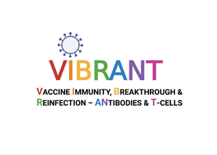 VIBRANT Logo