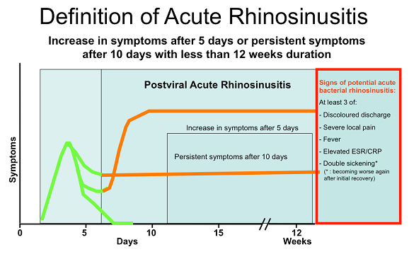 Acute Rhinosinusitis 1.png