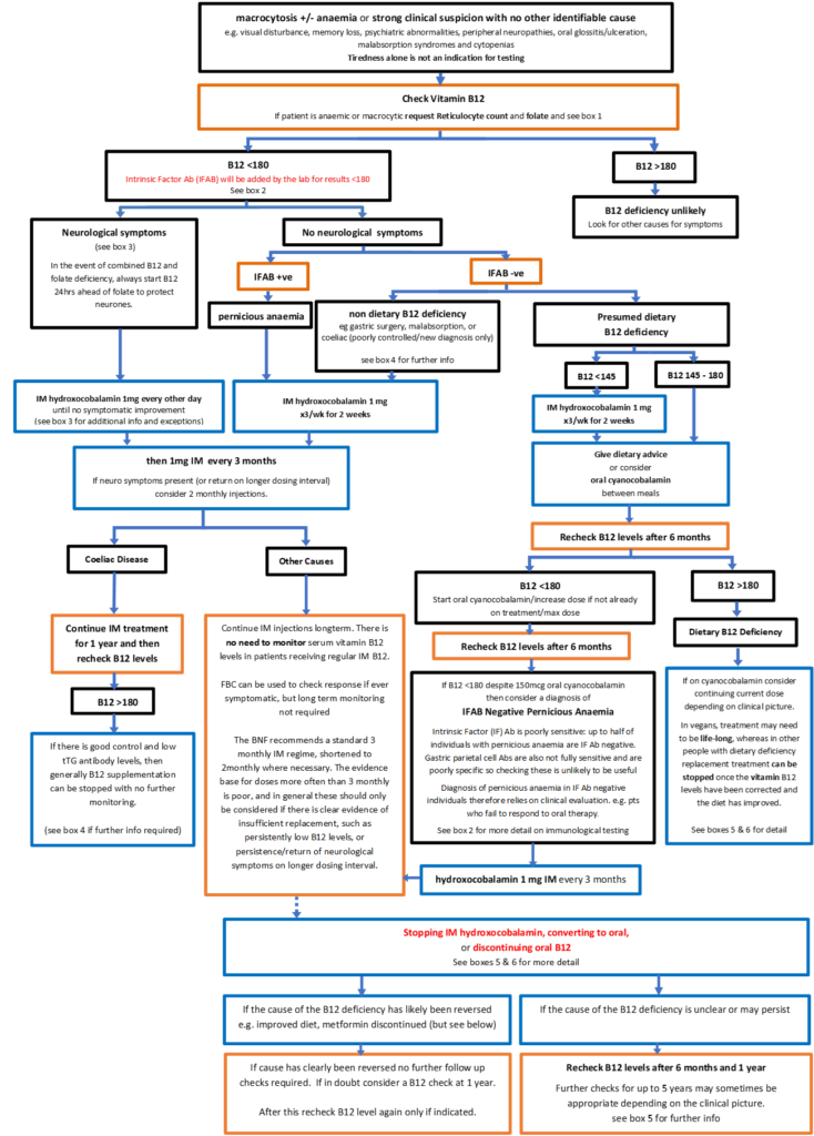 b12-management-dec-2021