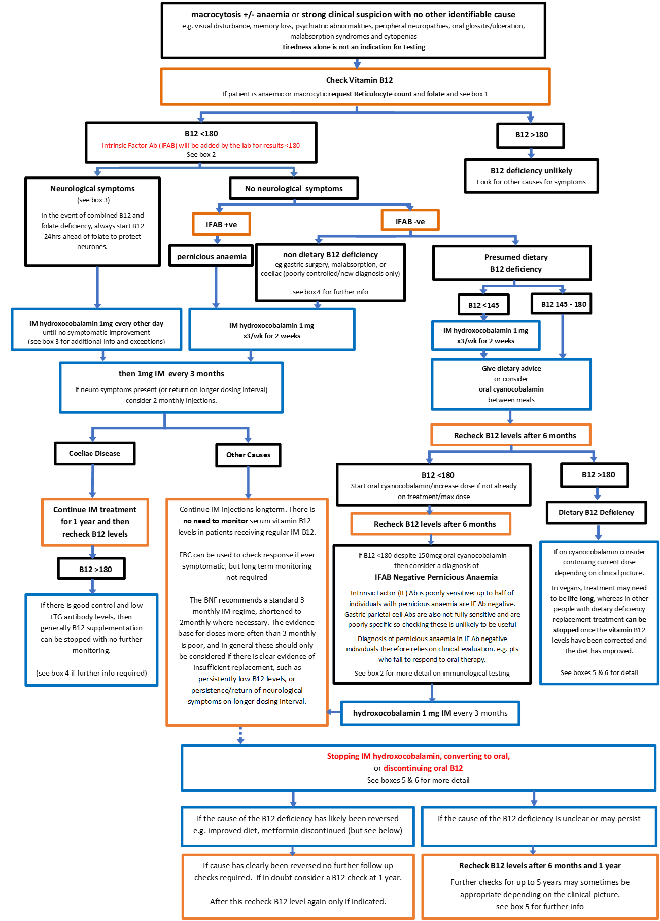 B12 Management