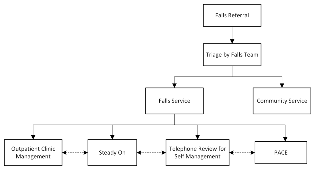 flowchart of the East Lothian Falls Pathway stepwise