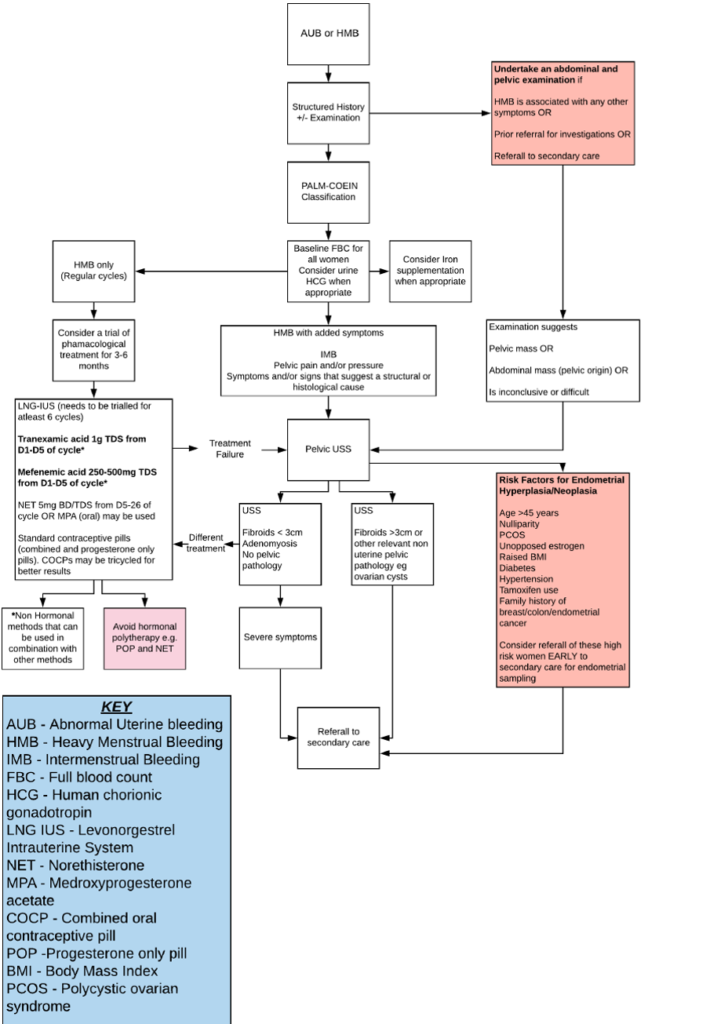 Heavy Menstral Bleeding