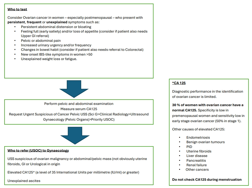 Ovarian Cancer flowchart Feb 2026 Image