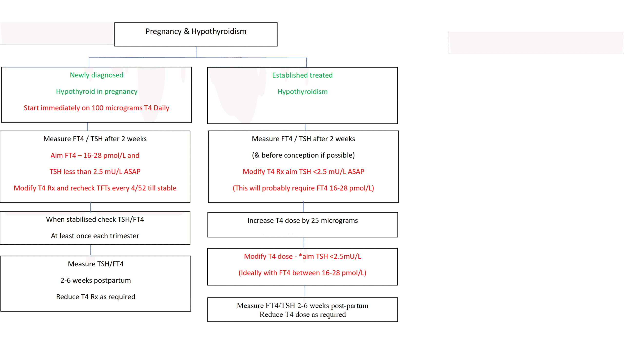 Pregnancy and Hypothyroidism