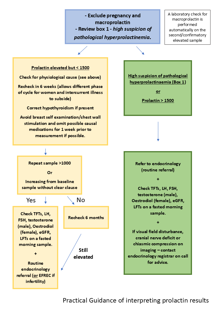 Flowchart describing the practical guidance of interpreting prolactin results