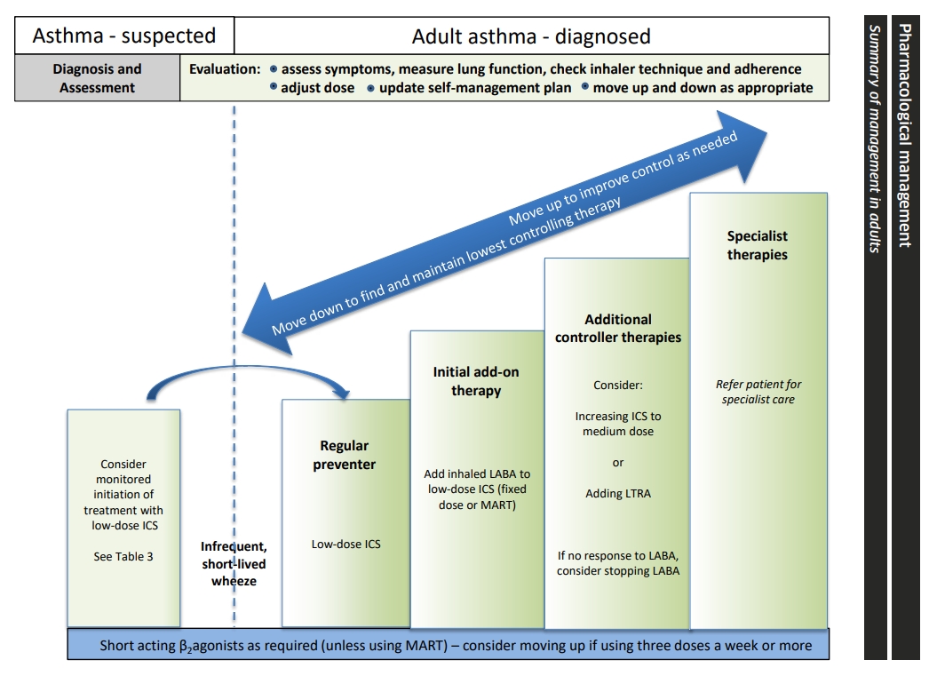 BTS strategy figure 4 Stepwise Management of Asthma.jpg