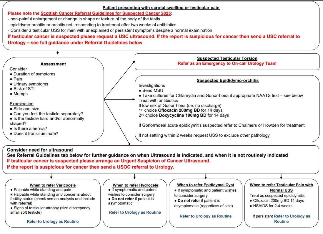 scrotal-pathway-2026