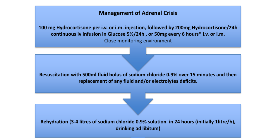 adrenal crisis